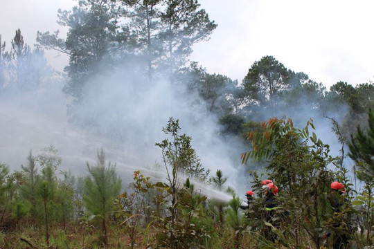Tây Nguyên khẩn cấp ứng phó cháy rừng mức độ nguy hiểm