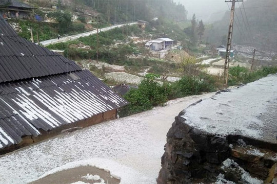 Lào Cai: Mưa đá và gió lốc gây thiệt hại trên 5 tỷ đồng