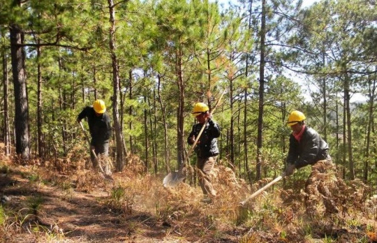 Tây Nguyên: Tăng cường các giải pháp cấp bách phòng cháy chữa cháy rừng
