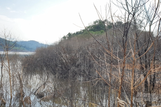 Hà Tĩnh: Đề phòng cháy rừng trong lòng hồ Ngàn Trươi