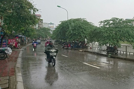 Dự báo thời tiết ngày 6/4: Hà Nội rải rác có mưa, trời rét