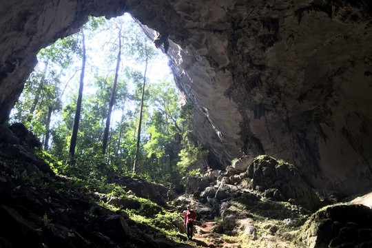 Thêm 12 hang động mới được phát hiện tại Quảng Bình