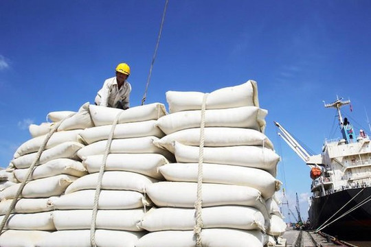 Thủ tướng: Xuất khẩu gạo phải xem xét kĩ lưỡng, thận trọng