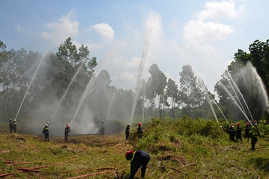 TP Hồ Chí Minh:Triển khai các biện pháp cấp bách phòng cháy, chữa cháy rừng