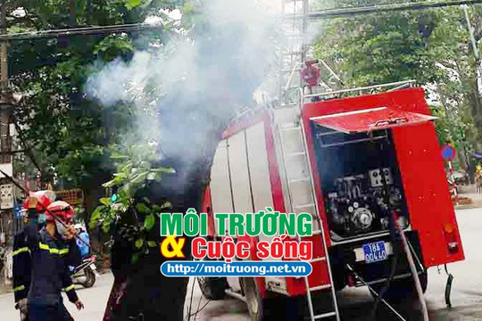Nam Định: Kỳ lạ vụ cháy phát ra từ trong thân cây