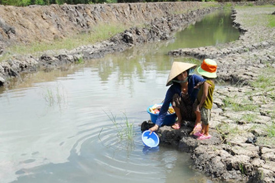 Tiền Giang: Giải quyết khó khăn nước sinh hoạt tại huyện Gò Công Tây