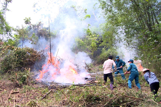 Chủ động triển khai các biện pháp phòng chống cháy rừng