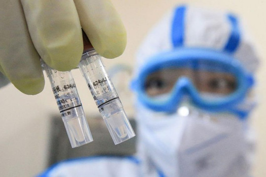 Ấn Độ chuẩn bị tiến hành thử nghiệm vaccine phòng lao ngừa COVID-19
