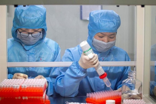 Hàn Quốc tiến hành nghiên cứu lâm sàng thuốc chống sốt rét điều trị Covid-19