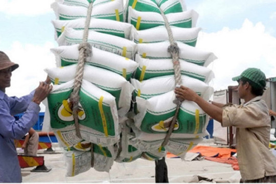 Thêm 38.000 tấn gạo được xuất khẩu trong hạn ngạch tháng 4