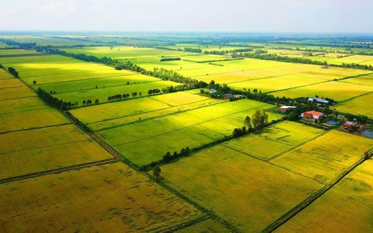 Chính phủ đề nghị tiếp tục miễn thuế sử dụng đất nông nghiệp đến năm 2025