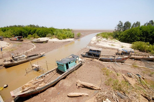 Xâm nhập mặn ở Đồng bằng sông Cửu Long có xu hướng tăng dần