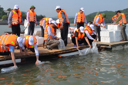 Quảng Ninh tăng cường bảo vệ tài nguyên và môi trường biển