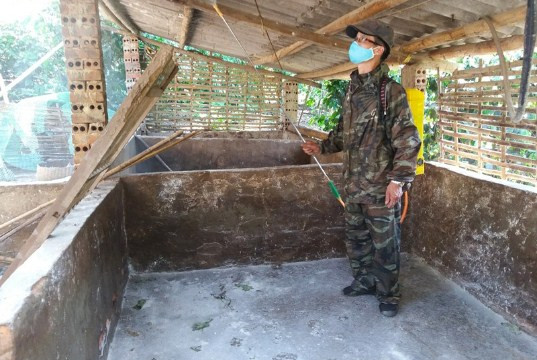 Sơn La: Xuất hiện bệnh dịch tả lợn châu Phi tại xã Chiềng Cọ
