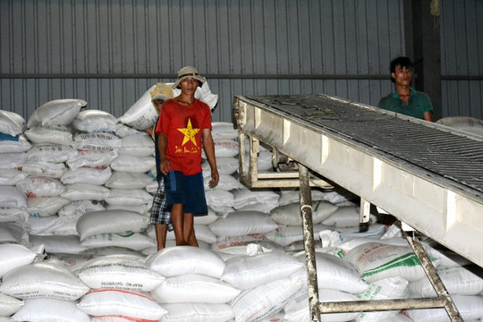 [Infographics] Những nước nào đang nhập khẩu gạo Việt Nam nhiều nhất