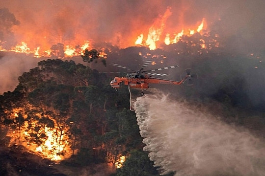 Hậu thảm họa cháy rừng, Australia chi hơn 1,3 tỉ USD khắc phục thiệt hại