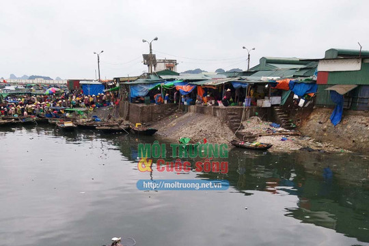 Cẩm Phả (Quảng Ninh): Chợ cá “bức tử” vịnh Bái Tử Long