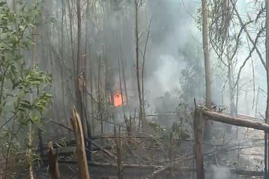 Thời tiết cực đoan, Quảng Ngãi liên tiếp xảy ra cháy rừng