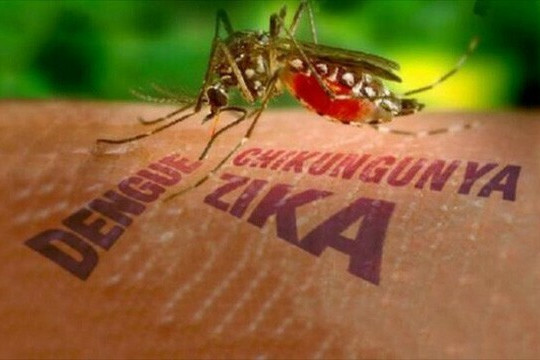 Việt Nam ghi nhận ca bệnh Zika đầu tiên trong năm 2020, Bộ Y tế ra cảnh báo