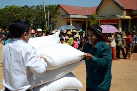 Xuất cấp hơn 1.400 tấn gạo dự trữ quốc gia hỗ trợ cho 2 tỉnh Quảng Bình và Quảng Trị
