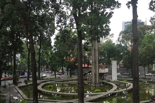 TP Hồ Chí Minh: Rà soát, kiểm tra cây xanh đảm bảo an toàn trước mùa mưa bão