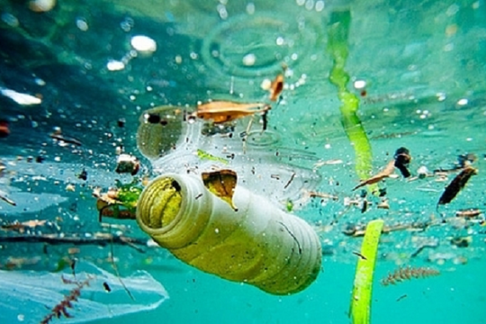 Ô nhiễm hạt vi nhựa trong các đại dương cao hơn ước tính