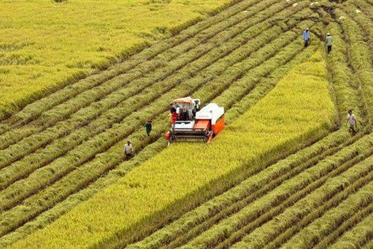 Việt Nam phấn đấu đến năm 2030 đứng top 15 nước nông nghiệp phát triển nhất thế giới