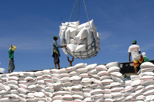 Giá gạo xuất khẩu của Việt Nam tăng mạnh