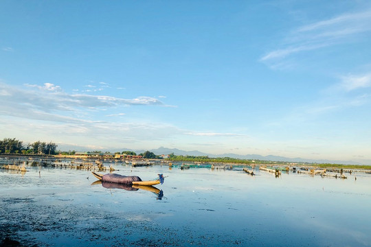 Thành lập Khu bảo tồn thiên nhiên đất ngập nước Tam Giang – Cầu Hai