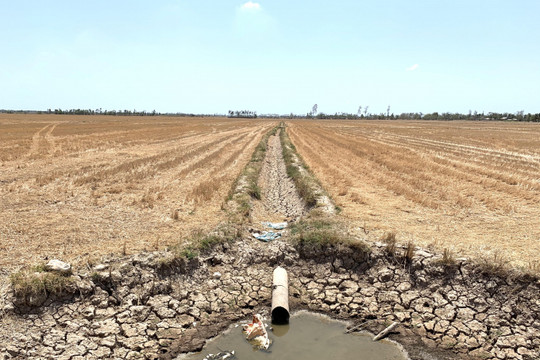 Hàng chục ngàn ha cây trồng có nguy cơ thiếu nước tưới