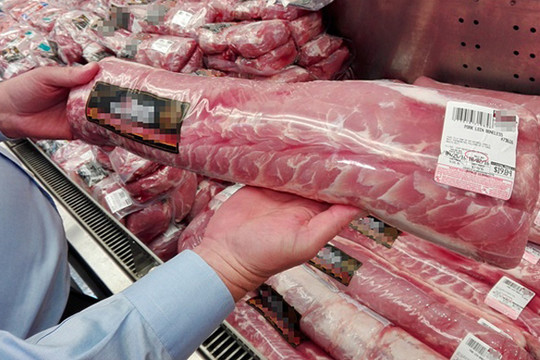 Giá lợn hơi tiếp tục giảm mạnh nhờ nguồn nhập khẩu lợn sống