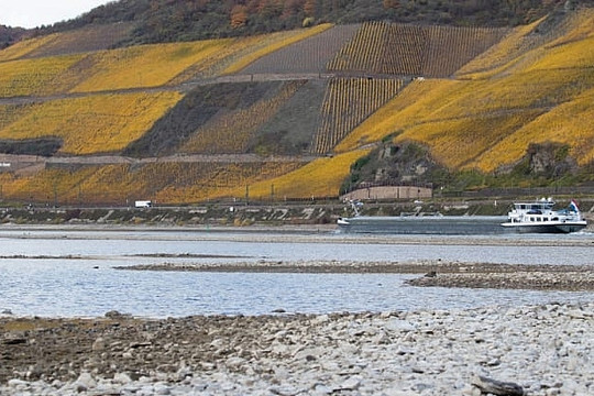 Sông Rhine – dòng sông ‘phồn thịnh’ của Châu Âu đang khô cạn nghiêm trọng