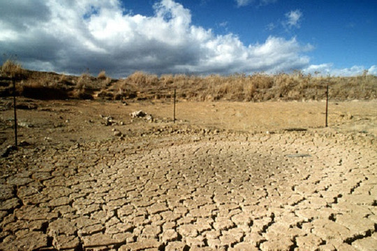 Sa mạc hóa gia tăng – thách thức môi trường toàn cầu