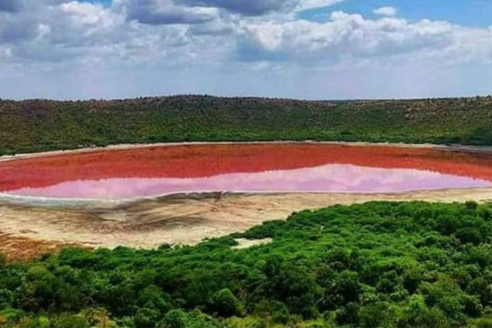 Ấn Độ: Nước hồ 5 vạn năm tuổi bất ngờ đổi màu hồng