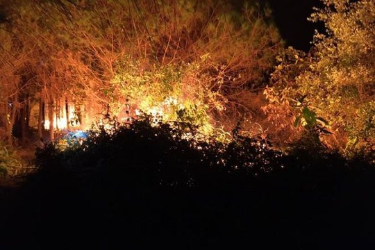 Cháy rừng dữ dội tại Hà Tĩnh, hàng trăm người nỗ lực dập lửa trong đêm