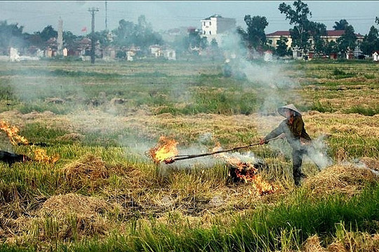 Hà Nội: Đề xuất cấm đốt rơm rạ, phụ phẩm cây trồng