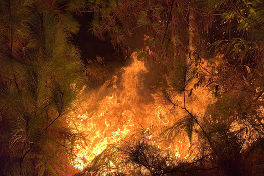 Rừng ở Nghệ An, Hà Tĩnh liên tiếp cháy ngùn ngụt, hàng nghìn người xuyên đêm dập lửa