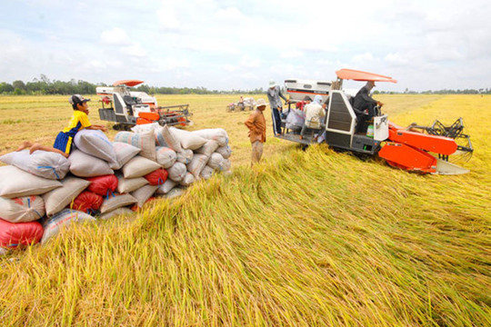 Nông nghiệp Việt Nam vượt khó, giữ đà tăng trưởng dương