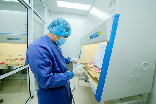 Nhật Bản nghiên cứu sử dụng liệu pháp tế bào gốc đa năng trong điều trị ung thư