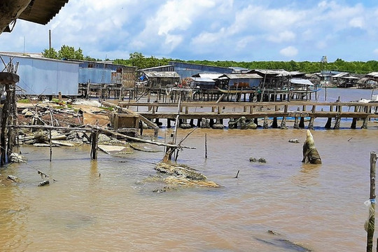 Cà Mau: Sạt lở trong đêm khiến 14 căn nhà sụp xuống sông