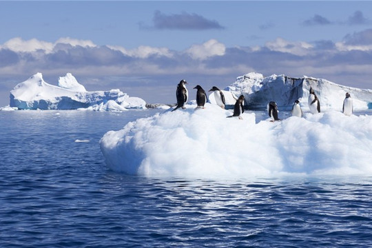 Nhiệt độ tại Nam Cực tăng nhanh gấp 3 lần phần còn lại của Trái đất