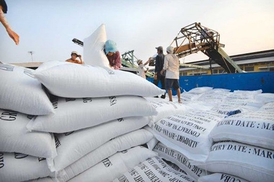 6 tháng đầu năm, giá trị xuất khẩu gạo tăng gần 18% so với cùng kỳ