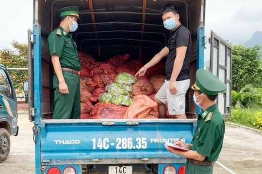 Quảng Ninh: Thu giữ 1,5 tấn chân gà sơ chế xuất lậu sang Trung Quốc