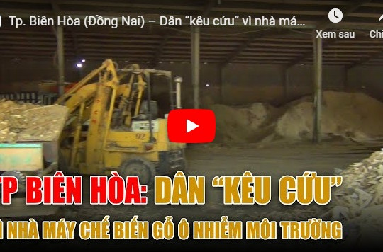 Tp. Biên Hòa (Đồng Nai) – Dân “kêu cứu” vì nhà máy chế biến gỗ gây ô nhiễm môi trường