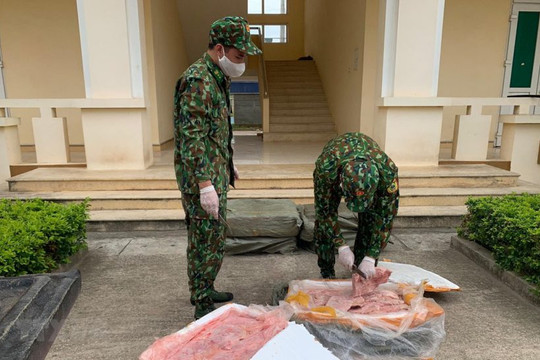 Lạng Sơn: Liên tiếp bắt giữ gần 1 tấn gà giống và nầm lợn nhập lậu