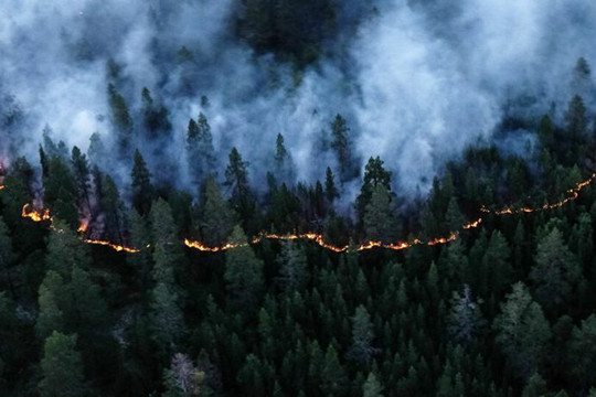 Nga: Cháy rừng hoành hành, khói mù bao trùm các thành phố vùng Siberia