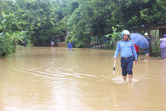 Tuyên Quang: Mưa lớn khiến hơn 230 ha lúa bị ngập úng