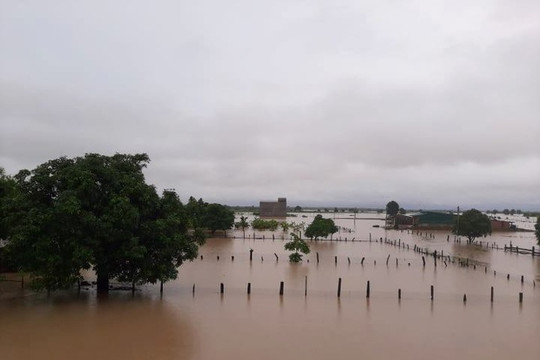 Đắk Lắk: Mưa lớn gây ngập lụt nghiêm trọng, giao thông chia cắt