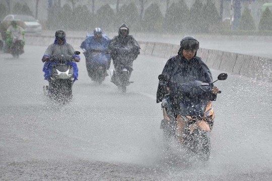 Dự báo thời tiết ngày 1/8: Nam Bộ mưa trên diện rộng, có nơi mưa rất to