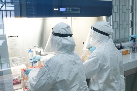 Quảng Ngãi lần đầu tiên thực hiện xét nghiệm SARS-CoV-2 tại chỗ